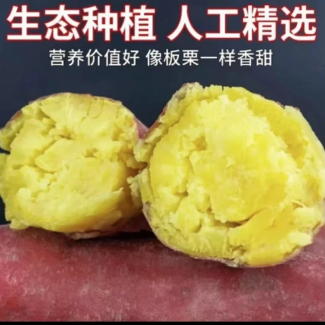 【买3斤送2斤到手5斤】自家种板栗红薯粉糯香甜带箱5斤现挖番薯农家