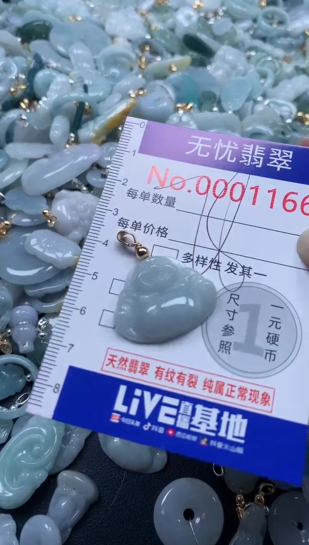 翡翠未镶嵌吊坠(不含链)1166