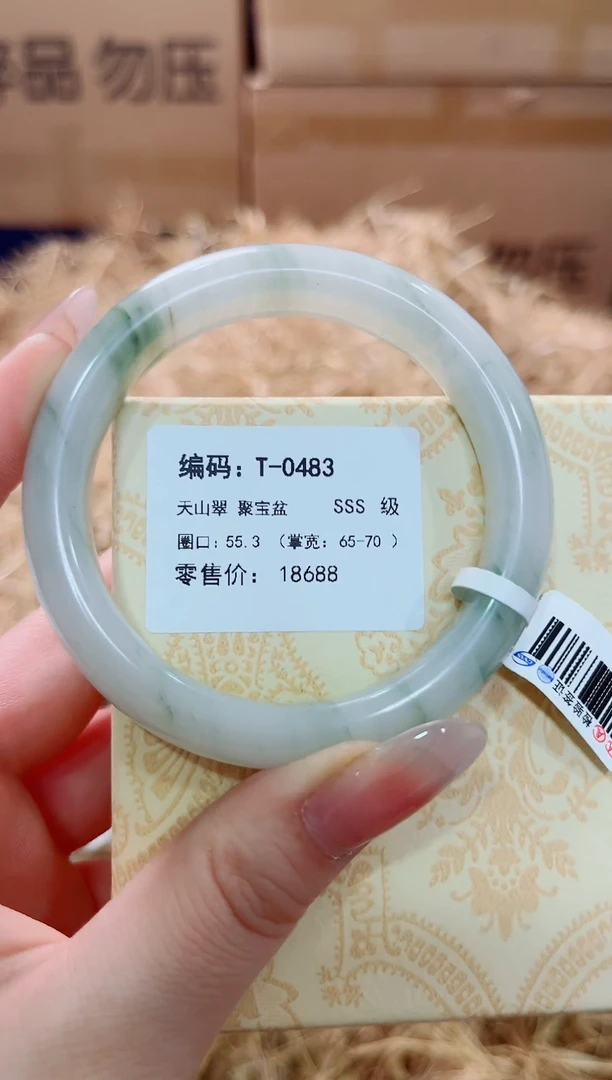 未镶嵌手镯石英质玉T-0483