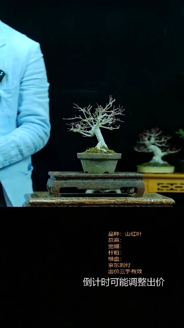 【闪购商品】00000