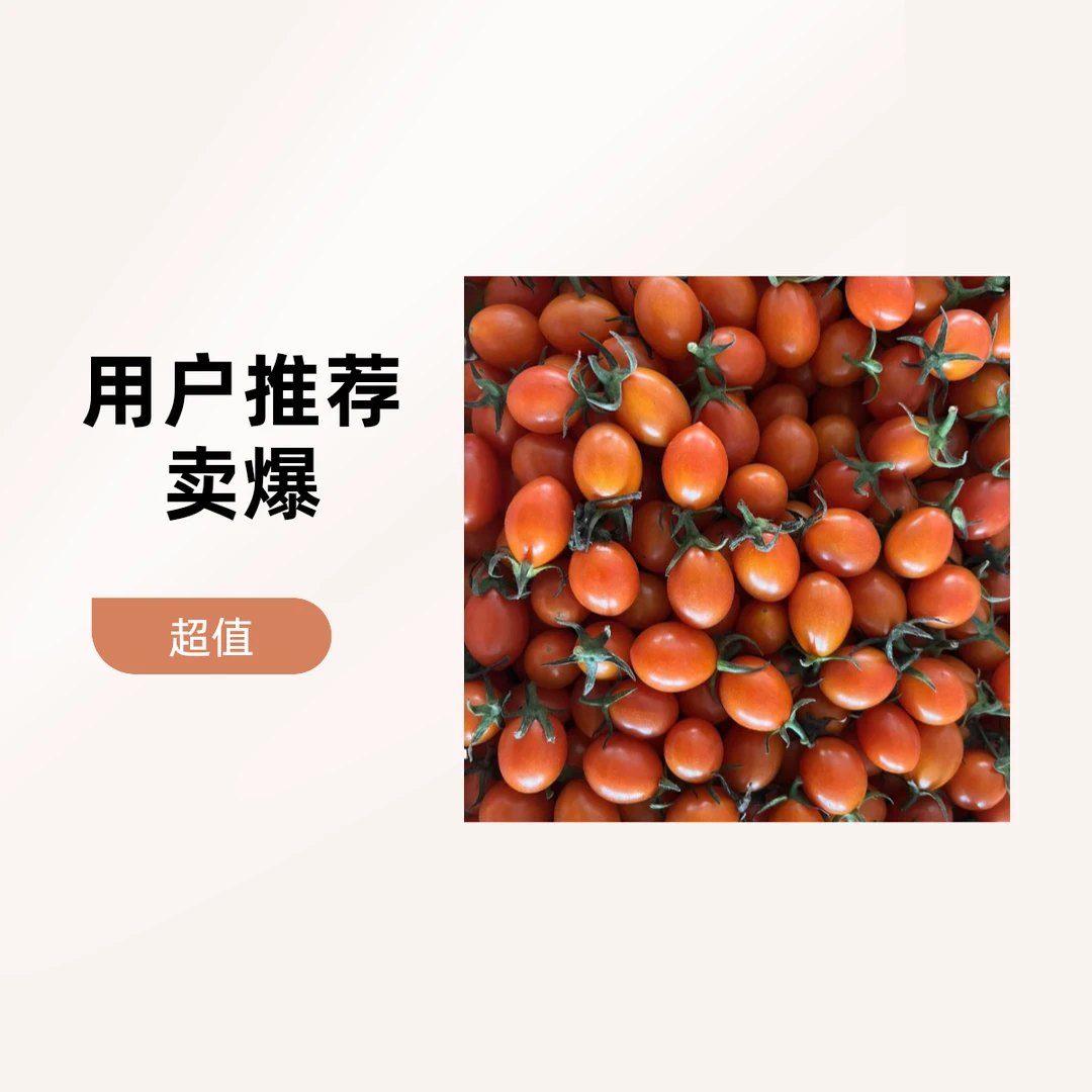 黄金豆小柿子（10斤，走亲访友最佳礼品）