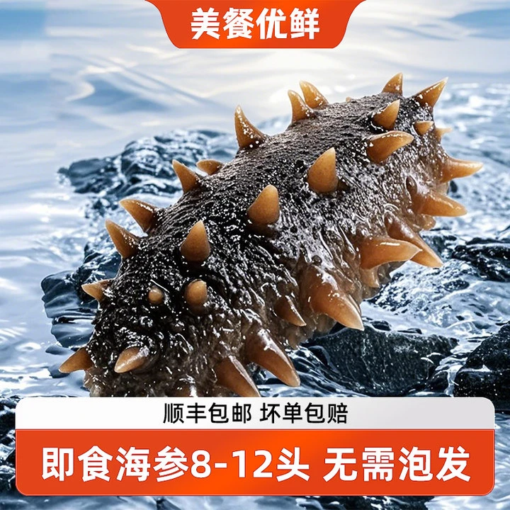 即食海参8-12头/斤大连辽刺参开袋即食免泡发