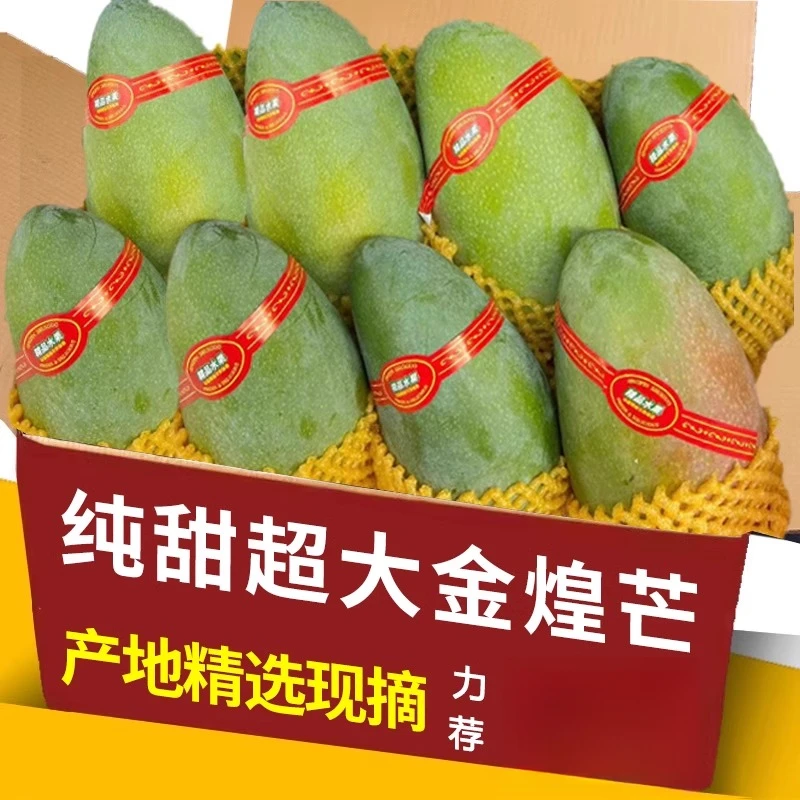 新鲜青皮金煌芒大青芒果热带水果当季整箱金煌芒青皮甜心芒包邮