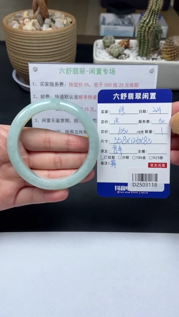【闪购商品】翡翠手镯未镶嵌D2503118