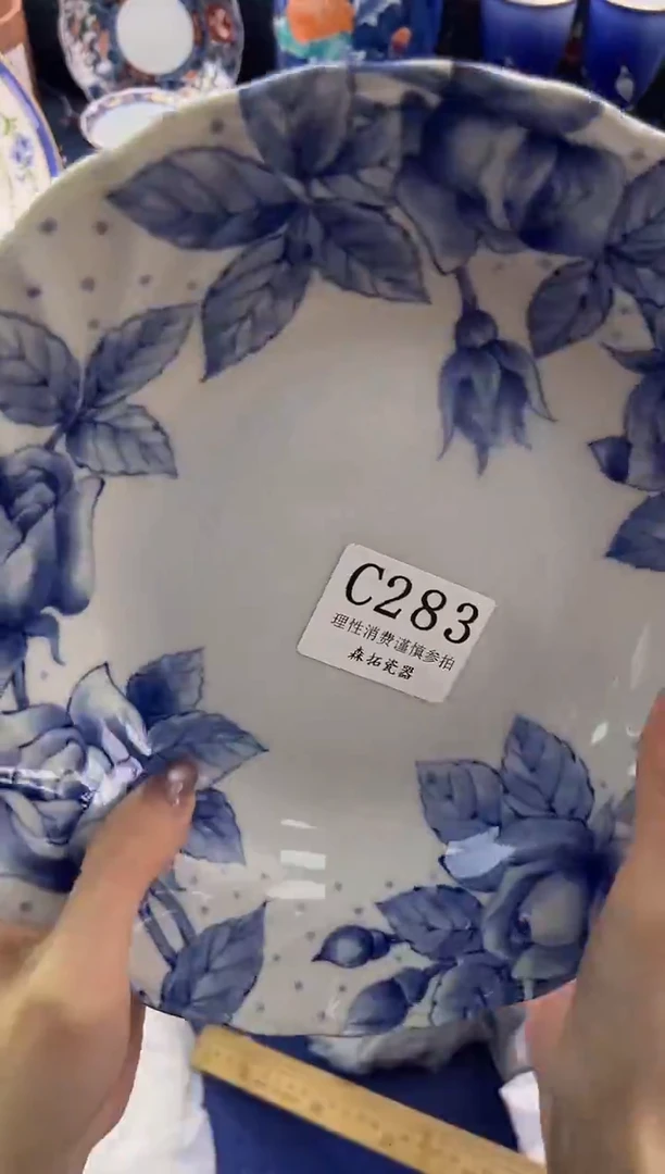 瓷片          C283