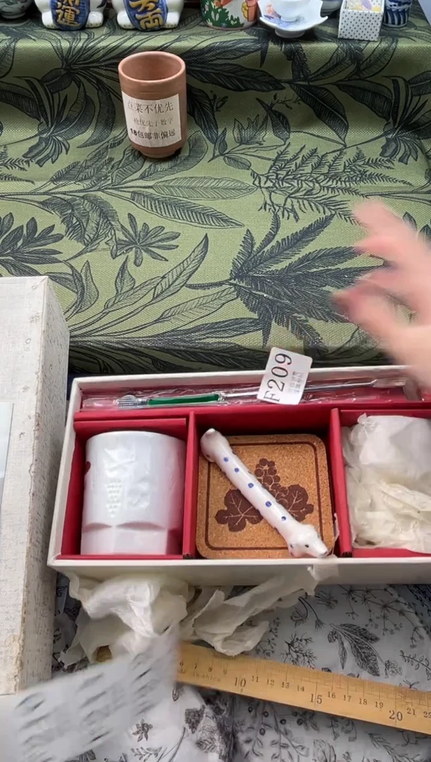 瓷片N*       F209*