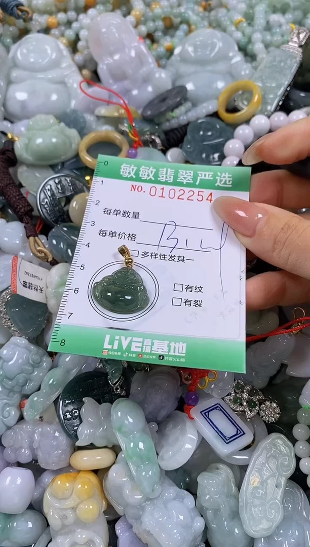 【闪购商品】翡翠颈饰未镶嵌闪购0102254