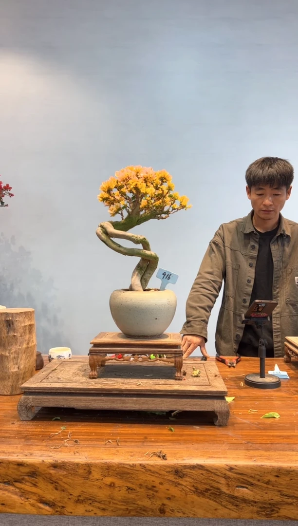 【闪购商品】aa916