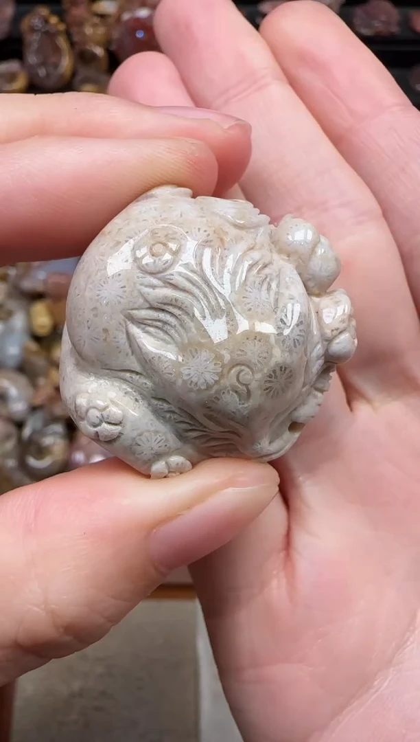 颈饰未镶嵌硅化珊瑚（珊瑚玉）273