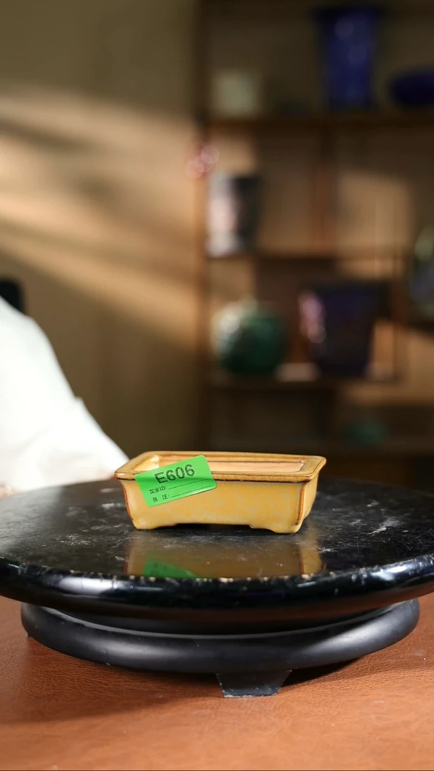 606   5寸长方盆