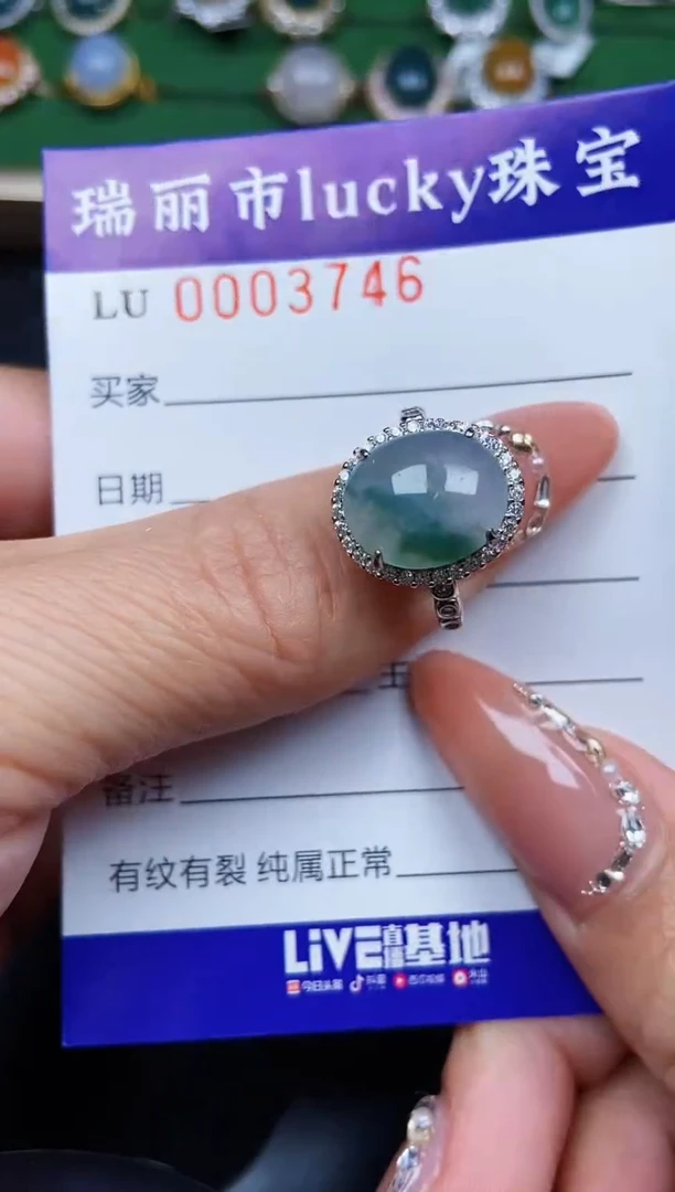 【闪购商品】翡翠颈饰银S925镶嵌3746