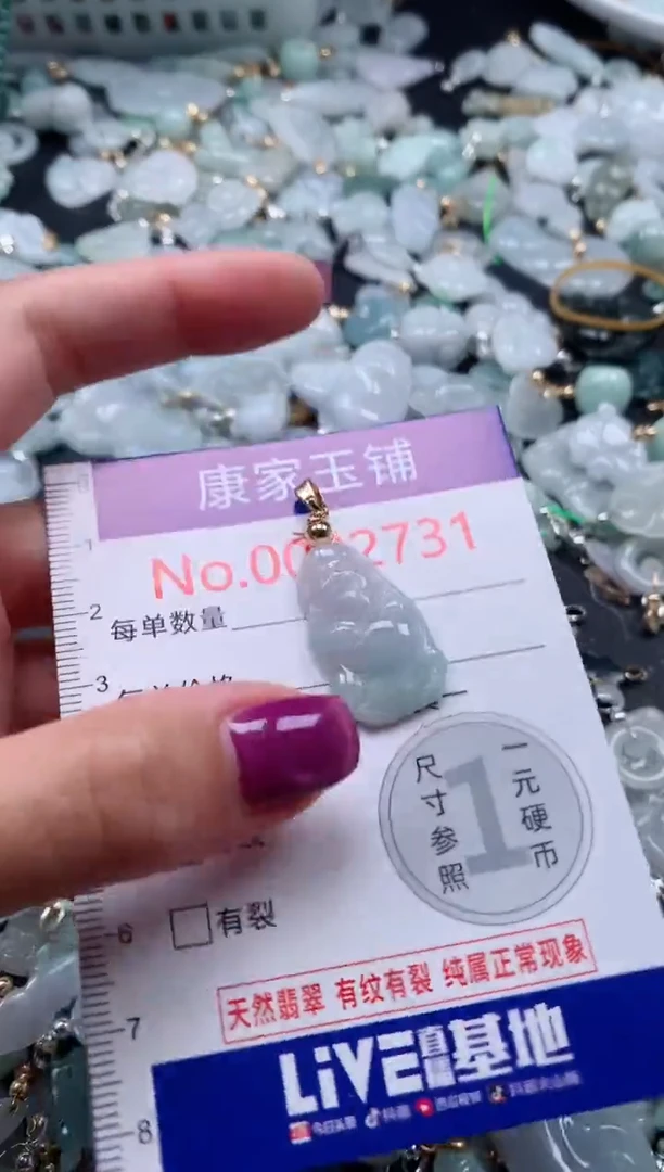 颈饰未镶嵌翡翠2731