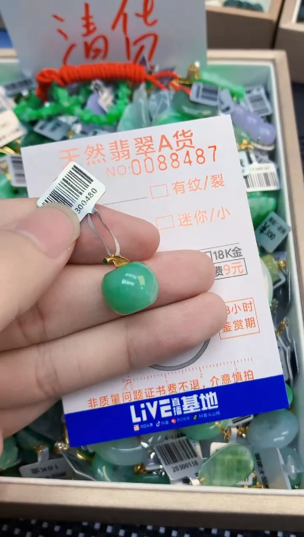 翡翠未镶嵌吊坠(不含链)1