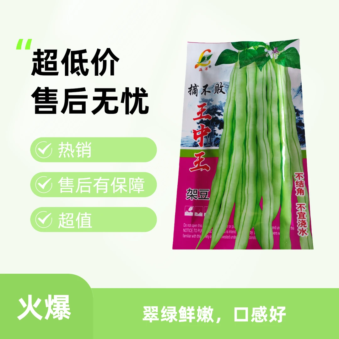早熟高产四季架豆王春秋蔬菜种籽