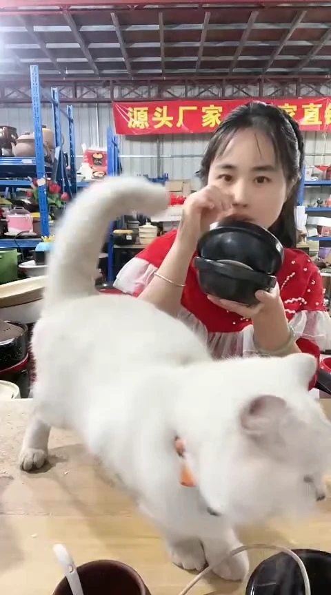 陶明显瑕疵黑色砂锅碗2个