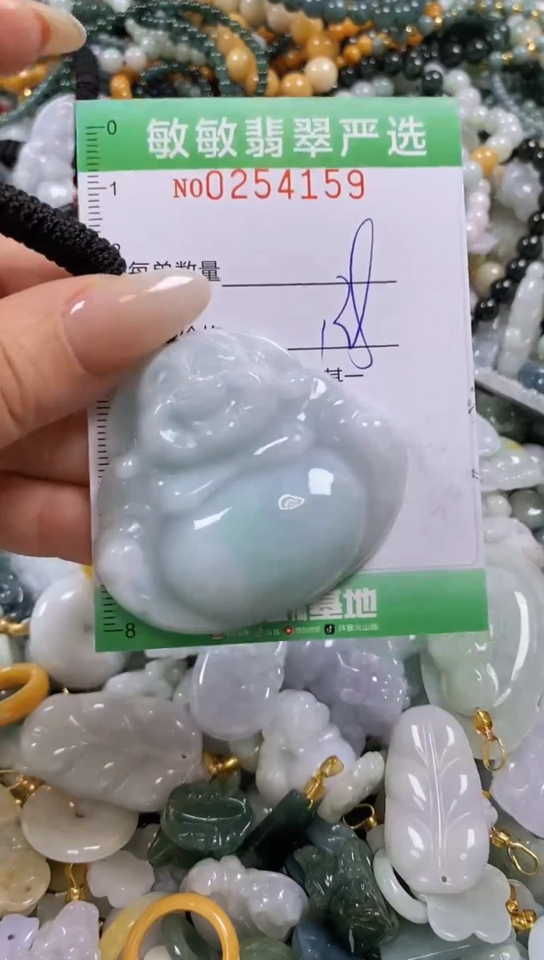 翡翠未镶嵌颈饰闪购0254159