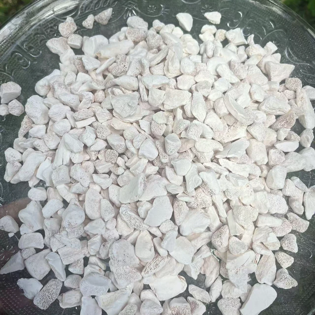 【龙-骨】净含量50g-250g【阿徐现收】