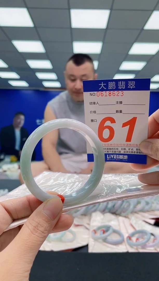 未镶嵌手镯翡翠AAAAAAAAA