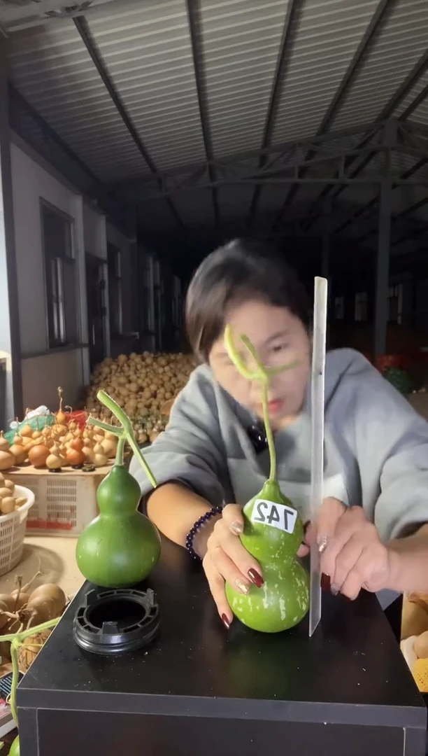 742天然葫芦摆件 一物一拍龙头不保售后