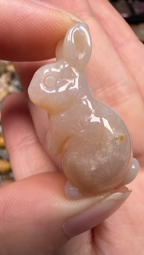 硅化珊瑚（珊瑚玉）未镶嵌颈饰168