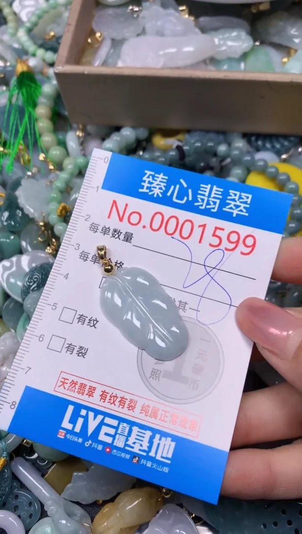 【闪购商品】翡翠颈饰未镶嵌含绳0001599