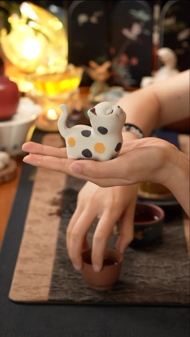猫猫猫猫猫猫猫猫猫猫猫猫