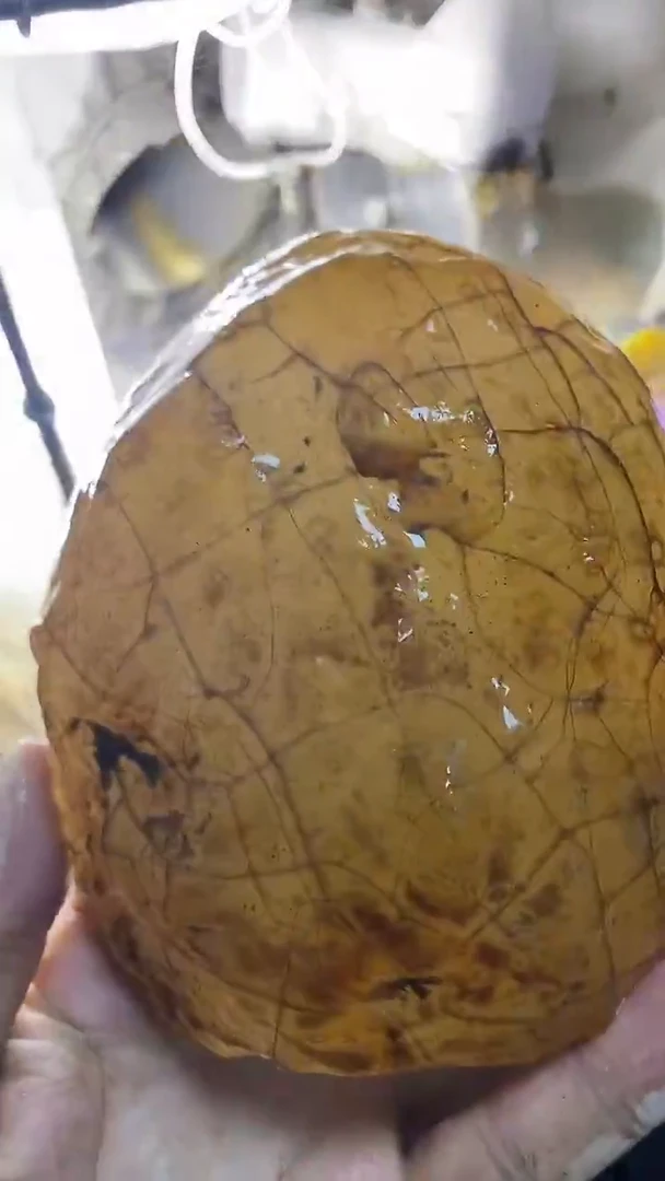 定制玛瑙董*平56*3镯6000314