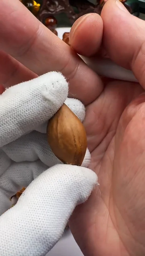 把件橄榄核?***生橄榄核