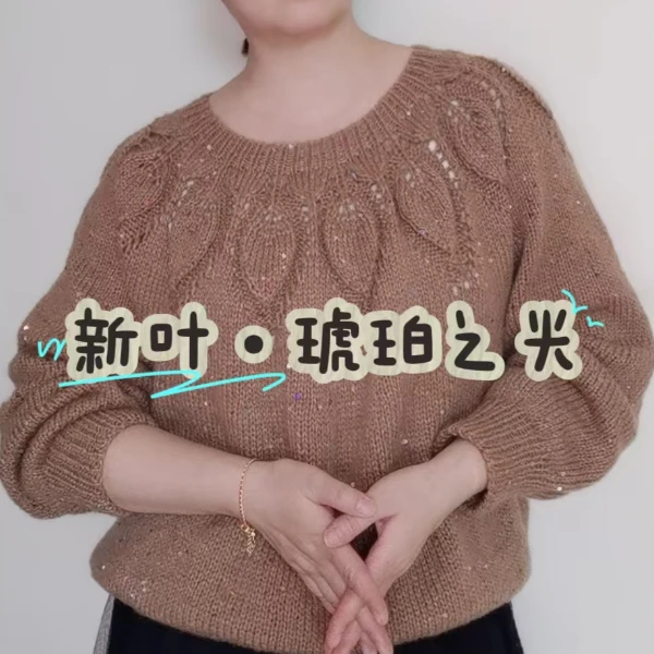 【新叶•琥珀之光】圆肩套头衫视频编织教程