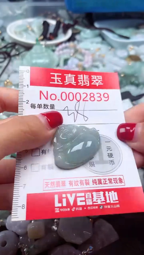 颈饰未镶嵌翡翠2839