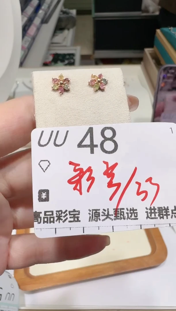 【闪购商品】碧玺耳饰银S925镶嵌多样性发一UU48