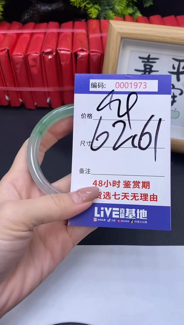 未镶嵌手镯翡翠0001973