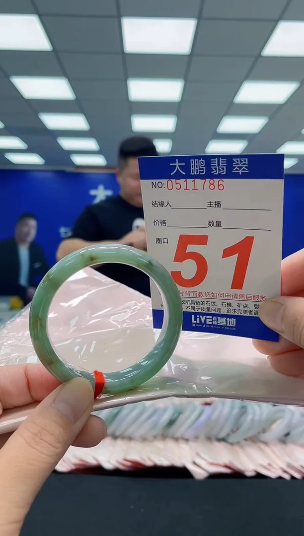 未镶嵌手镯翡翠AAAAAAAAA