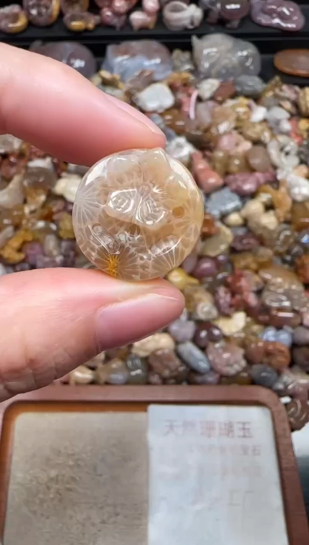 颈饰未镶嵌硅化珊瑚（珊瑚玉）226
