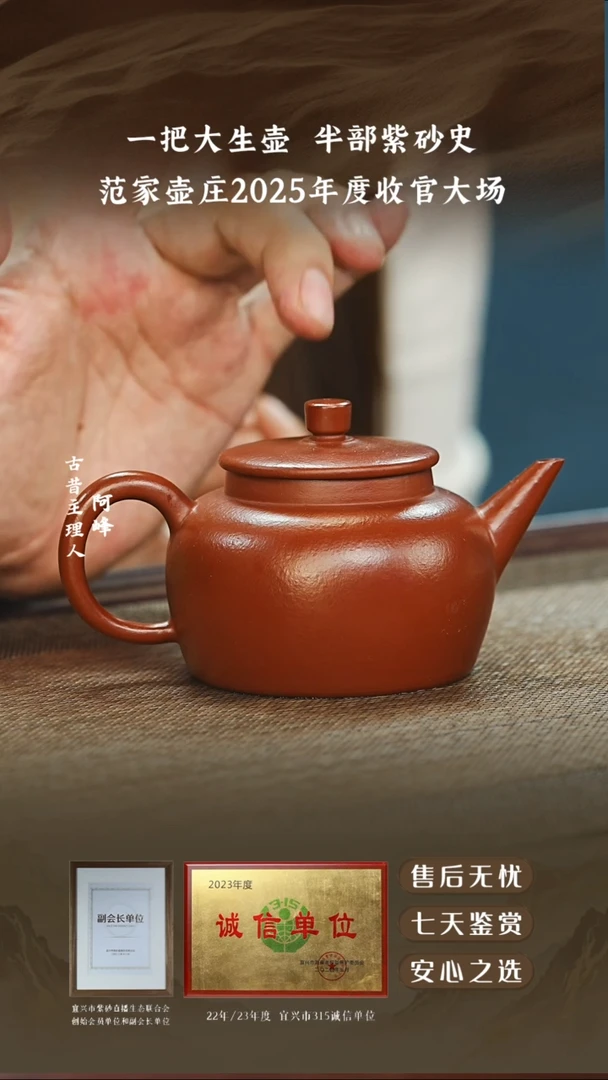 范家壶庄大红袍平盖水平160cc