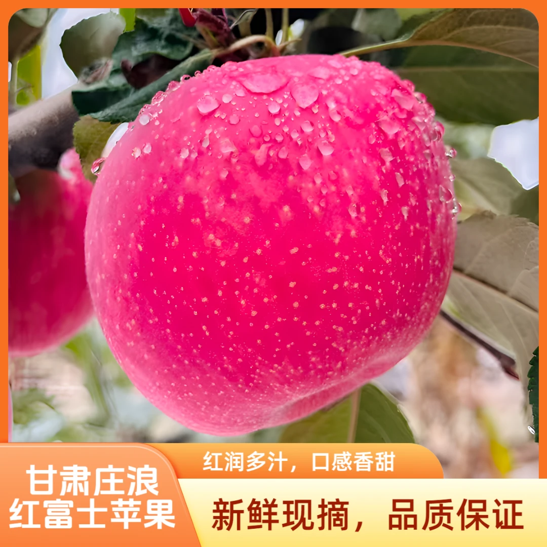 甘肃庄浪红富士苹果脆甜多汁现摘当季新鲜水果庄浪苹果