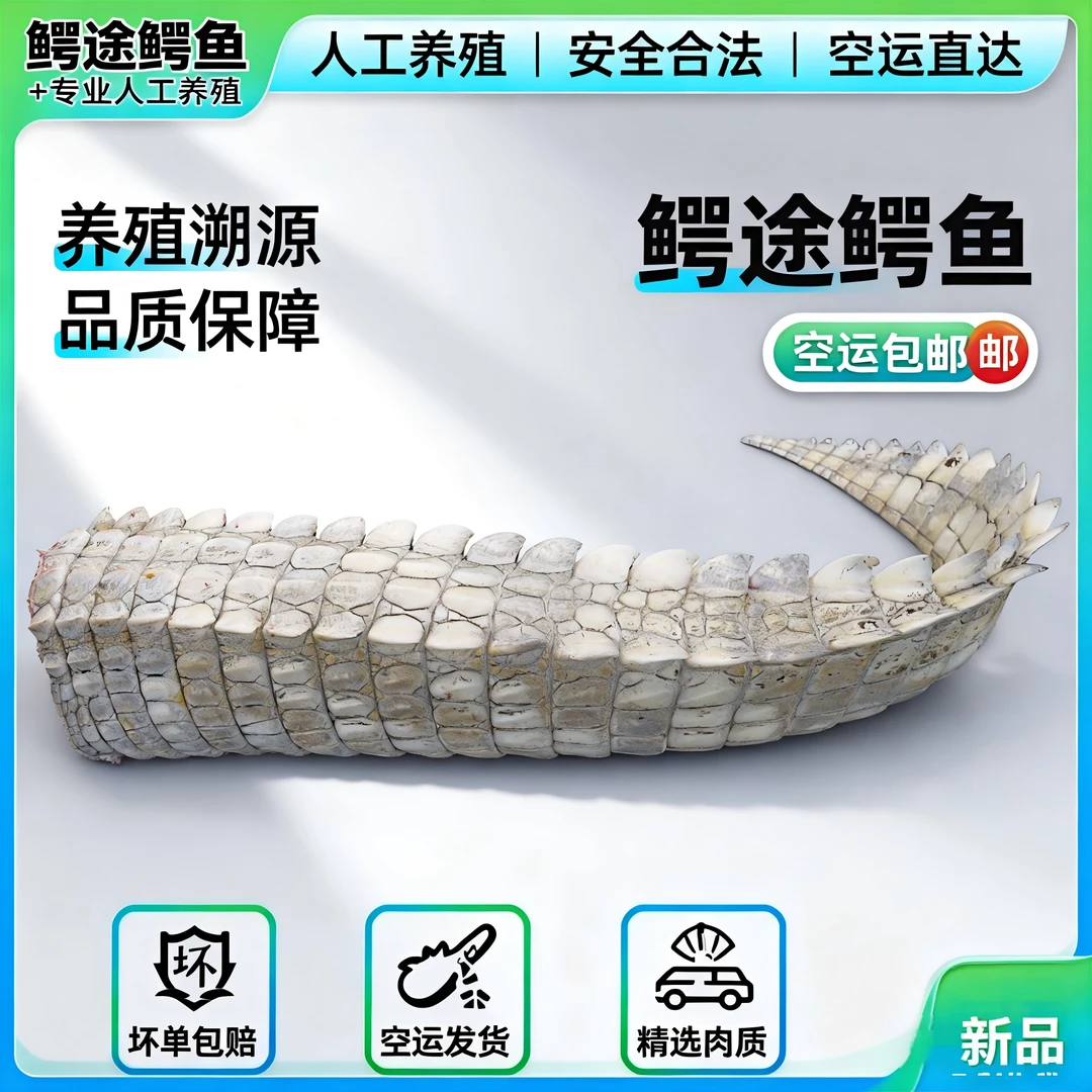 【新鲜鳄鱼尾】人工养殖 网红食材 优质好吃火锅红烧 胶原蛋白 美味