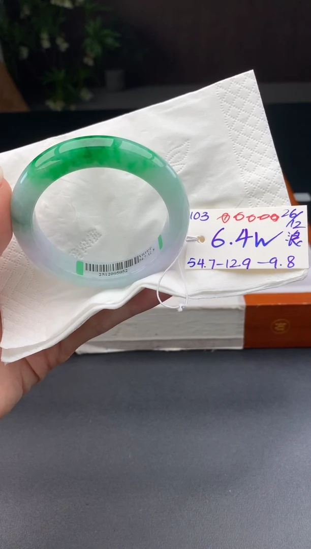 未镶嵌手镯翡翠翡翠手镯#103 圈口54