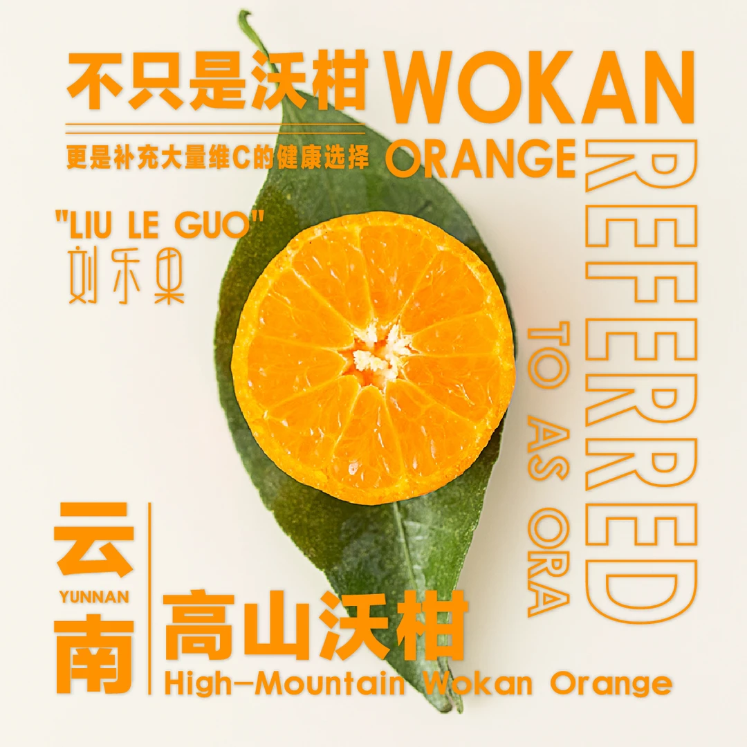 【云南高山沃柑】原产地直发坏果包赔当天现摘现发口感细腻