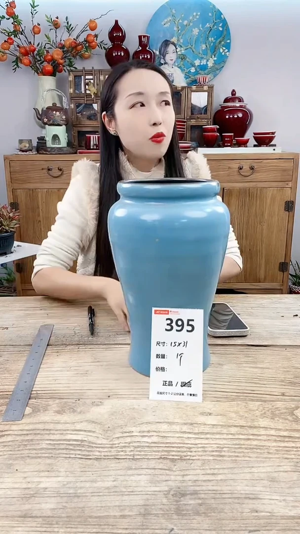 【闪购商品】红陶395