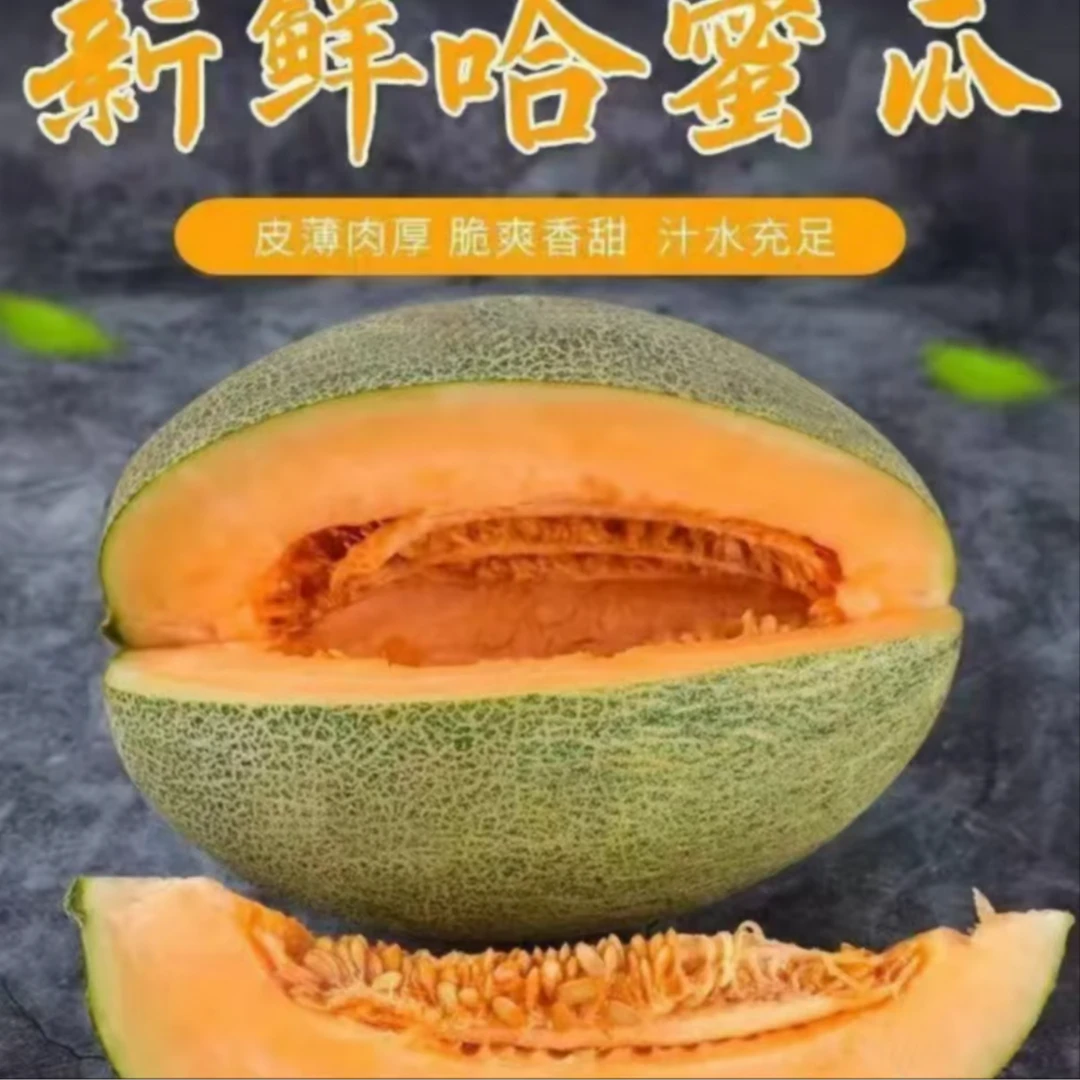 【甜蜜爆汁】正宗海南哈密瓜薄皮肉厚脆甜爽口多汁新鲜水果晓蜜25号