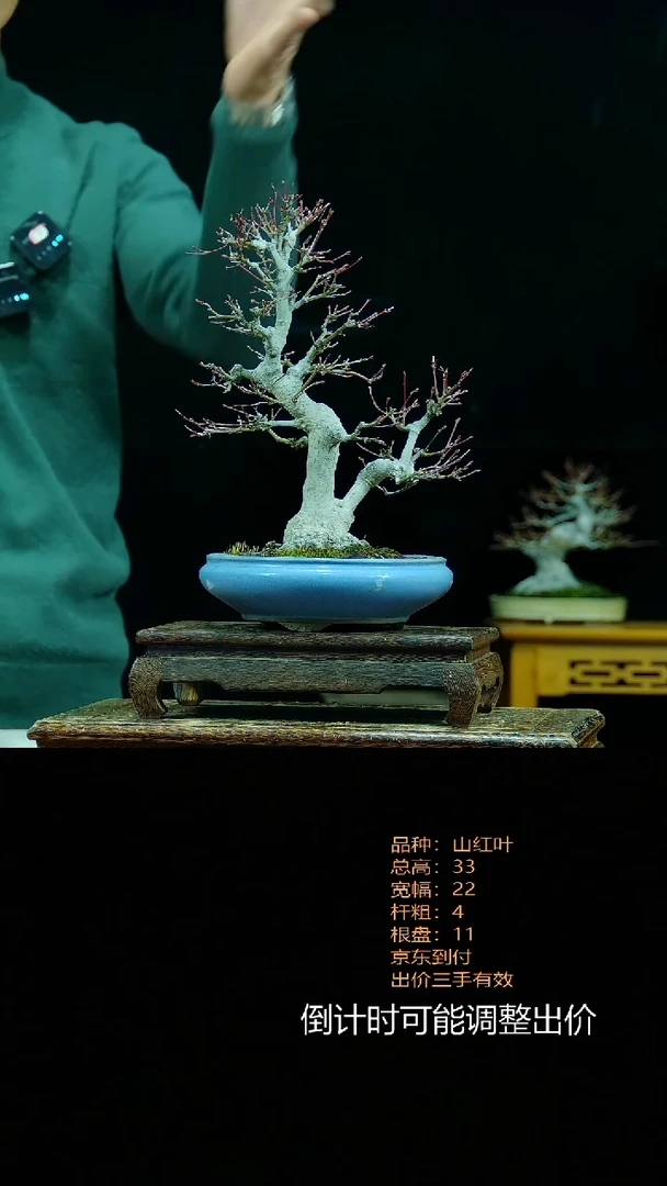 【闪购商品】00000