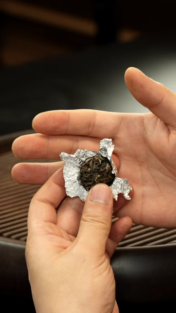 茶壶紫砂五粒 倚邦大黑树林古树龙珠