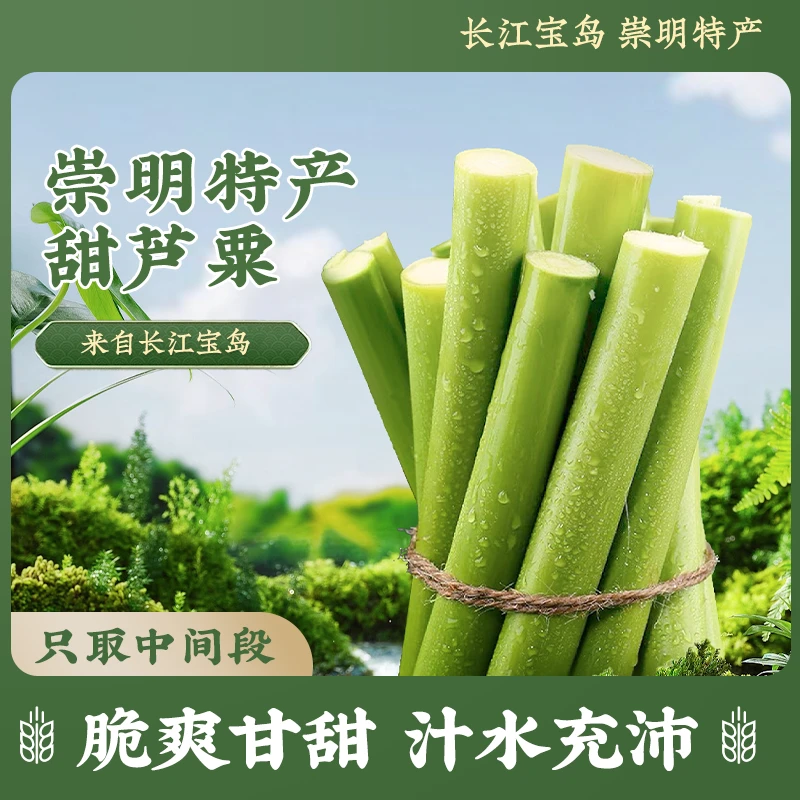 崇明甜芦粟新鲜甜芦粟甜高粱杆现砍现发童年小时候的味道