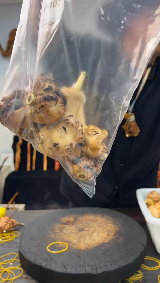 黑果木其他黑果木580