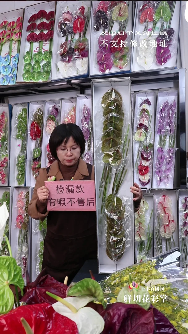 完全开放欧丽维斯16枝(长25-30横冠幅7-10有瑕福利不退不换不售后