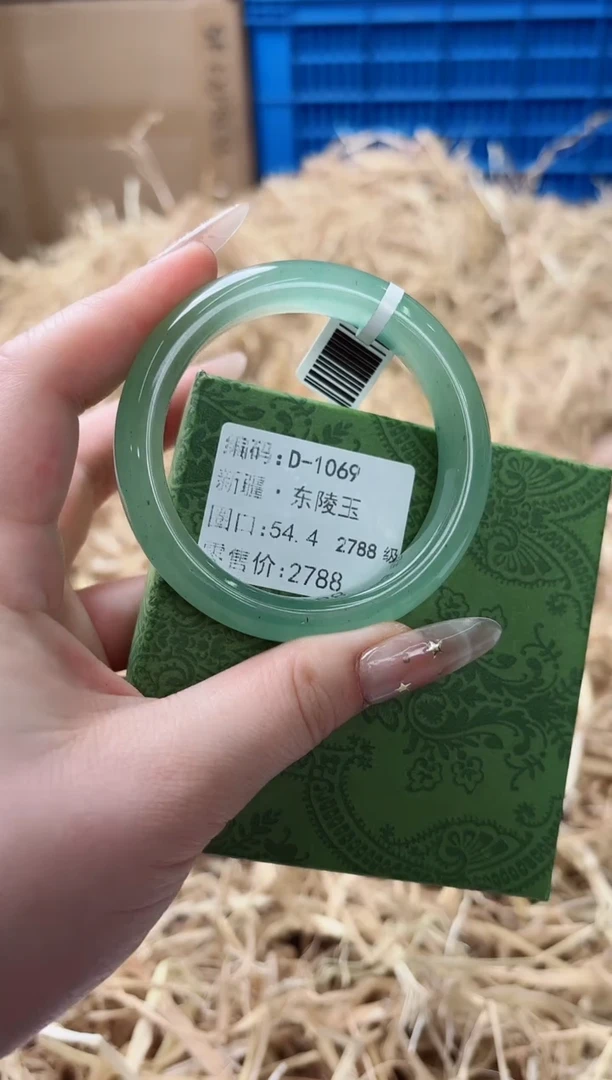 未镶嵌手镯石英质玉D-1069