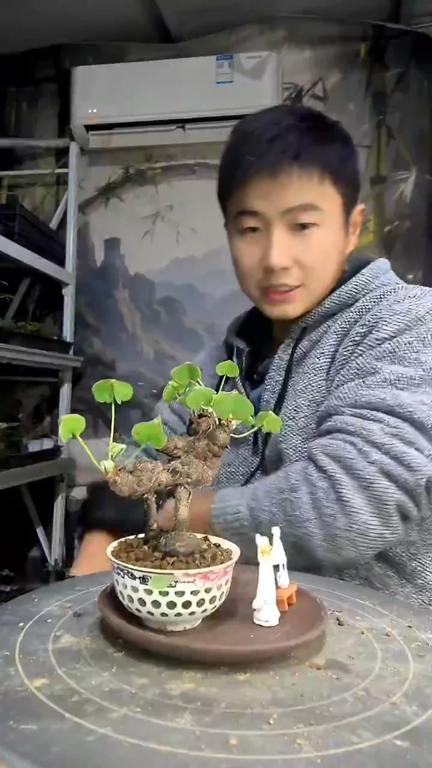e**依中青园艺一物一拍花497