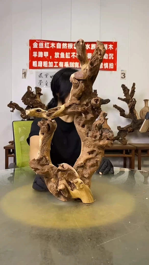 金丝红木   羊蹄甲