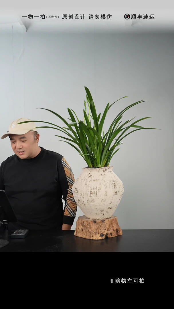 【闪购商品】018号链接【一物一拍】艺术盆景